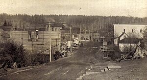 Fifth St Courtenay c 1900