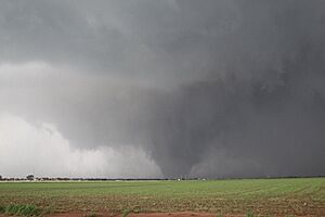 Gabriel Garfield photograph of the 2013 Moore EF5 tornado
