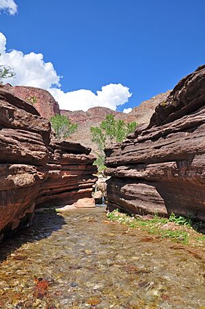 Grand Canyon National Park Deer Creek 0104 (6081561662)