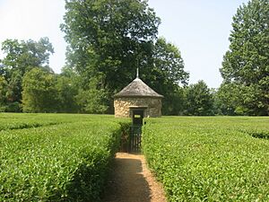 Harmonist Labyrinth pathway