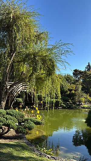 Hunnington Botanic Gardens