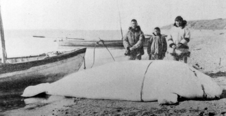 Hunters with beluga whale at Kitigaaryuk c. 1910