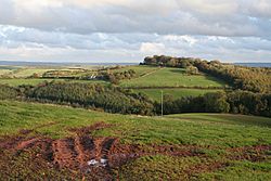 Huntsham, east to Huntsham Castle - geograph.org.uk - 67672