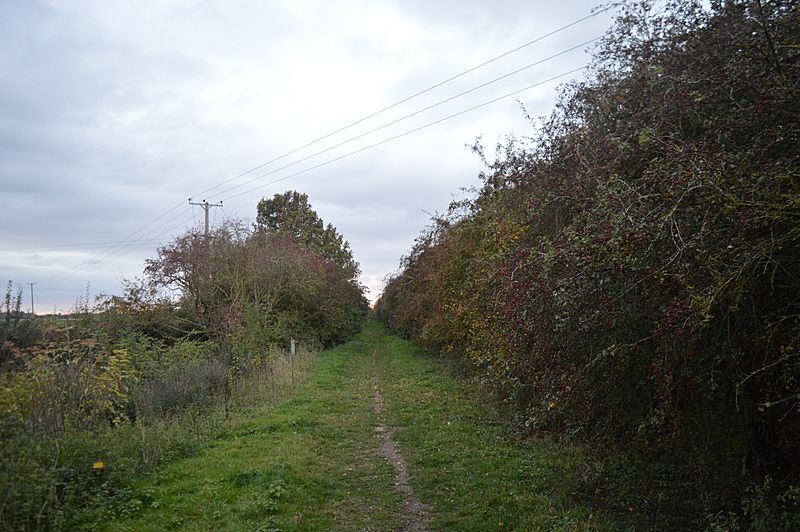 Isleham Nature Reserve 1