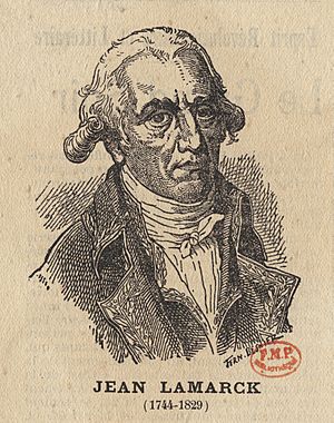 Jean Lamarck (1744-1829) CIPA0718