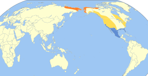 Limnodromus scolopaceus map.svg