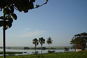 Lake Maï Ndombe