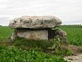 Marcilly le Hayer Dolmen du Vamprin juin 2007 01