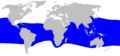 Megachasma pelagios distmap
