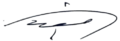 Michel Aoun Signature