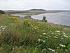 Mid to upper reach of Ythan Estuary looking west, Aberdeenshire.jpg