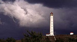 Molokai Light