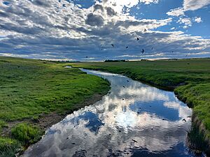 Moose Mountain Creek 03