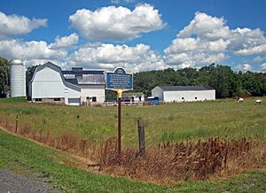 Morganville Pottery Factory site