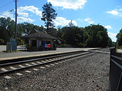 Mountain Lakes Station - platform.jpg