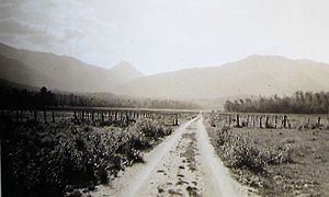 Mt Haast 1930s