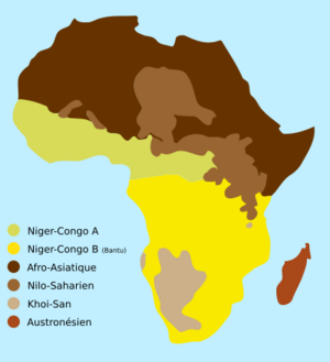 Niger-Congo