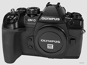 Olympus OM-D E-M1 Mark II D81 8378-2