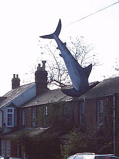 Oxford shark.jpg