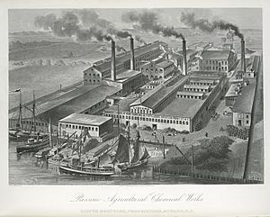 Passaic Agricultural Chemical Works. 1876