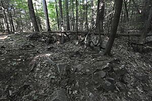 PeoplesStateForest BarkhamstedLighthouse CellarHole