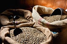 Peruvian Coffee Beans