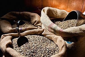 Peruvian Coffee Beans