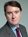 Peter Mandelson, Member of the EC (cropped)