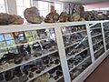 Petersen Rock Garden - Oregon (2013) - 30