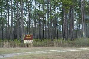 Pine Log State Forest Florida from SR79