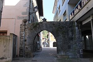 RI-51-0001488 Arcos de entrada de la villa.