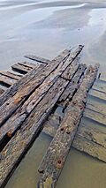 Remains of a shipwreck near Midge Bay, Pouto Peninsula