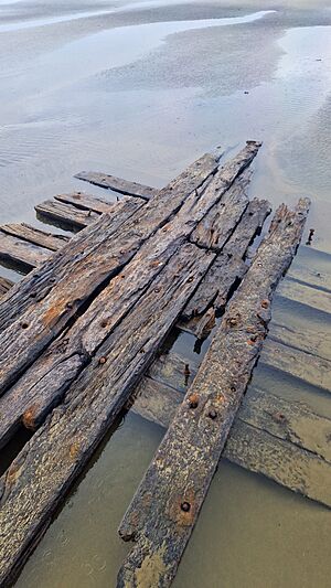 Remains of a shipwreck near Midge Bay, Pouto Peninsula