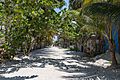 Sandy streets of Holbox (42877671074)