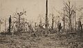 Shell-torn trees in Belleau Wood following the nearly month-long Battle of Belleau Wood