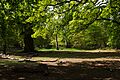 Sherwood Forest, May, 2017-5