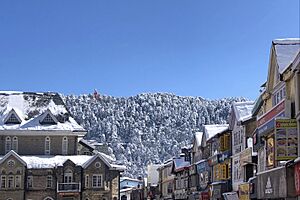 Shimla Mall