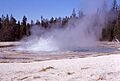 SolitaryGeyser-Keller1964