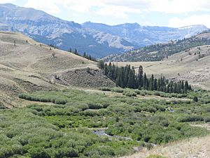 South Fork Owl Creek WY