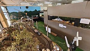 Tasmania's west coast history in miniature