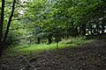 The Coppice, Kelvedon Hatch 3