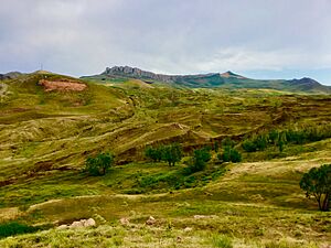 The Durupinar site in July 2019