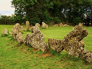 The King's Men stone circle, Rollright Stones.jpg