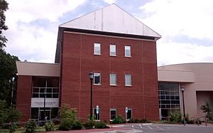 The Sonja Haynes Stone Center for Black Culture and History