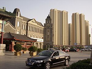 Tianjin guanyinhao