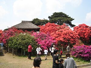 TsutsujiTatebayashi