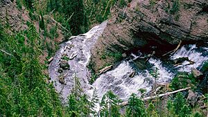 Twister Falls YNP