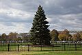 US National Christmas Tree - looking W - 2012