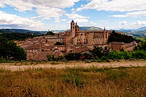 Urbino-vista paese