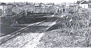 Village of Burt Lake, Michigan (1890)